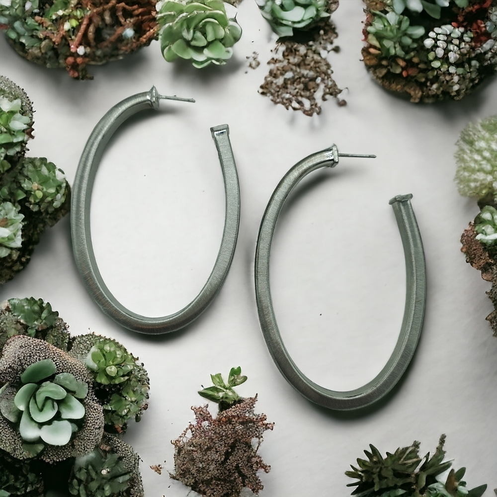 02364  Large Hoop Earrings